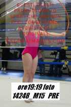 14248_M15-PRE