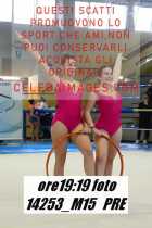 14253_M15-PRE