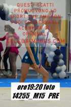 14255_M15-PRE