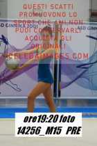 14256_M15-PRE