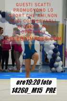 14260_M15-PRE
