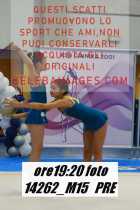 14262_M15-PRE