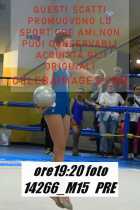 14266_M15-PRE