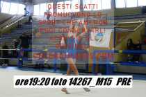 14267_M15-PRE