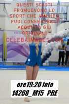 14268_M15-PRE