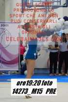 14273_M15-PRE