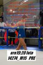 14274_M15-PRE