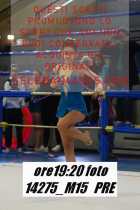 14275_M15-PRE