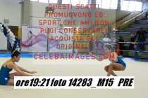 14283_M15-PRE