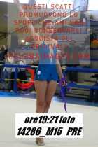 14286_M15-PRE