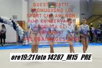 14287_M15-PRE