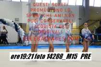 14288_M15-PRE