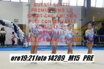 14289_M15-PRE
