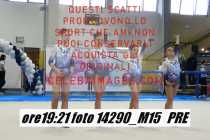 14290_M15-PRE