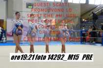 14292_M15-PRE