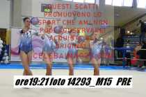 14293_M15-PRE