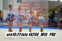 14294_M15-PRE