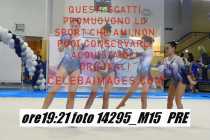14295_M15-PRE
