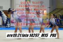 14297_M15-PRE