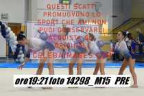 14298_M15-PRE