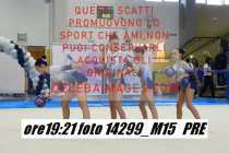 14299_M15-PRE