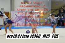 14300_M15-PRE