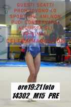 14302_M15-PRE