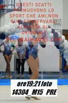 14304_M15-PRE