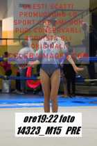 14323_M15-PRE