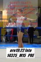 14325_M15-PRE
