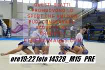 14328_M15-PRE