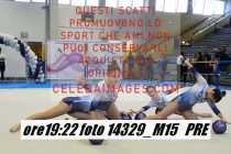14329_M15-PRE