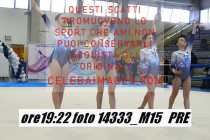 14333_M15-PRE