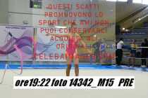 14342_M15-PRE