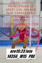 14356_M15-PRE
