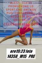 14358_M15-PRE