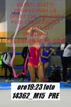14362_M15-PRE