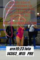 14363_M15-PRE