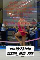 14369_M15-PRE