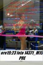 14371_M15-PRE