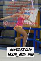 14378_M15-PRE