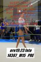 14387_M15-PRE