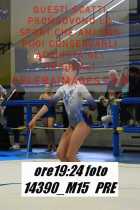 14390_M15-PRE