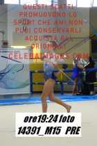 14391_M15-PRE
