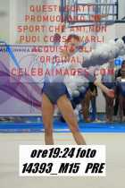 14393_M15-PRE