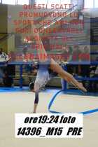 14396_M15-PRE