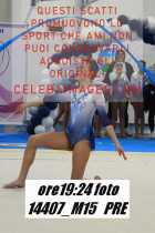 14407_M15-PRE