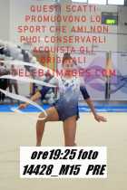 14428_M15-PRE