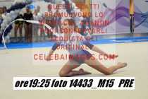 14433_M15-PRE