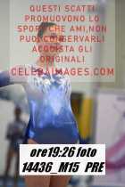 14436_M15-PRE